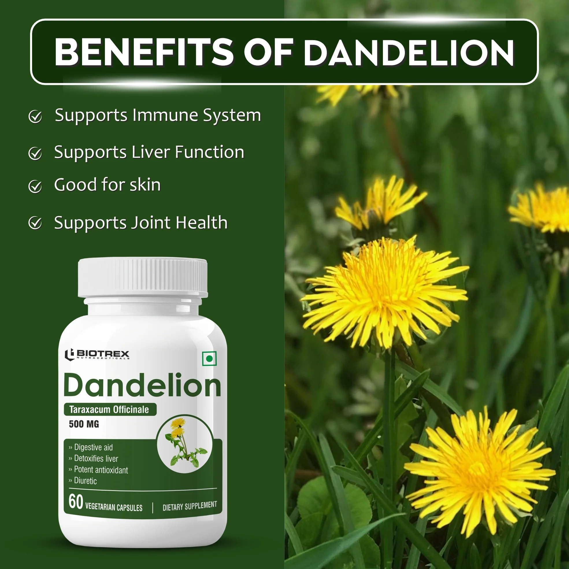 Biotrex Dandelion 500mg - 60 Capsules, Antioxidant, Detoxifies Liver, Digestive Aid - Image 3