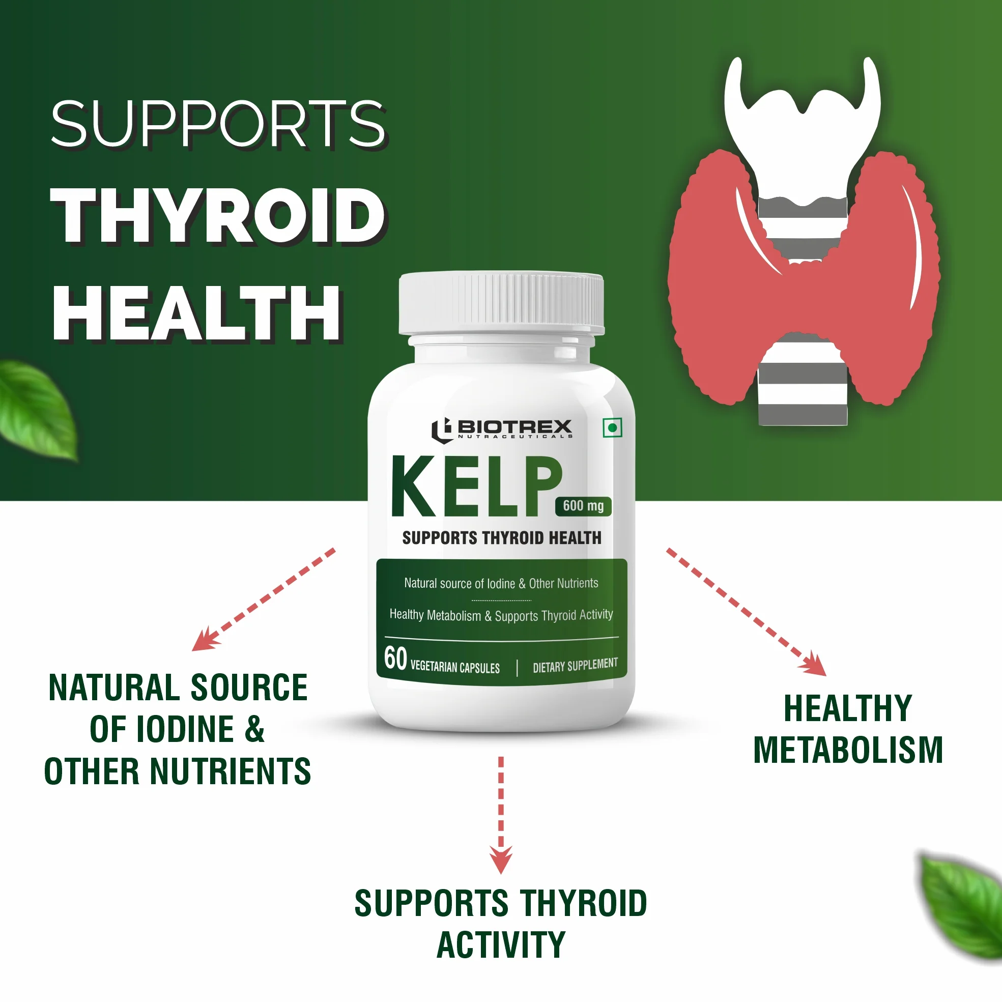 Biotrex Nutraceuticals Kelp Extract 600mg | Richest Vegan Source of Iodine | Supports Thyroid Health & Healthy Metabolism with Soluble Fiber - 60 Veg Capsules - Image 3