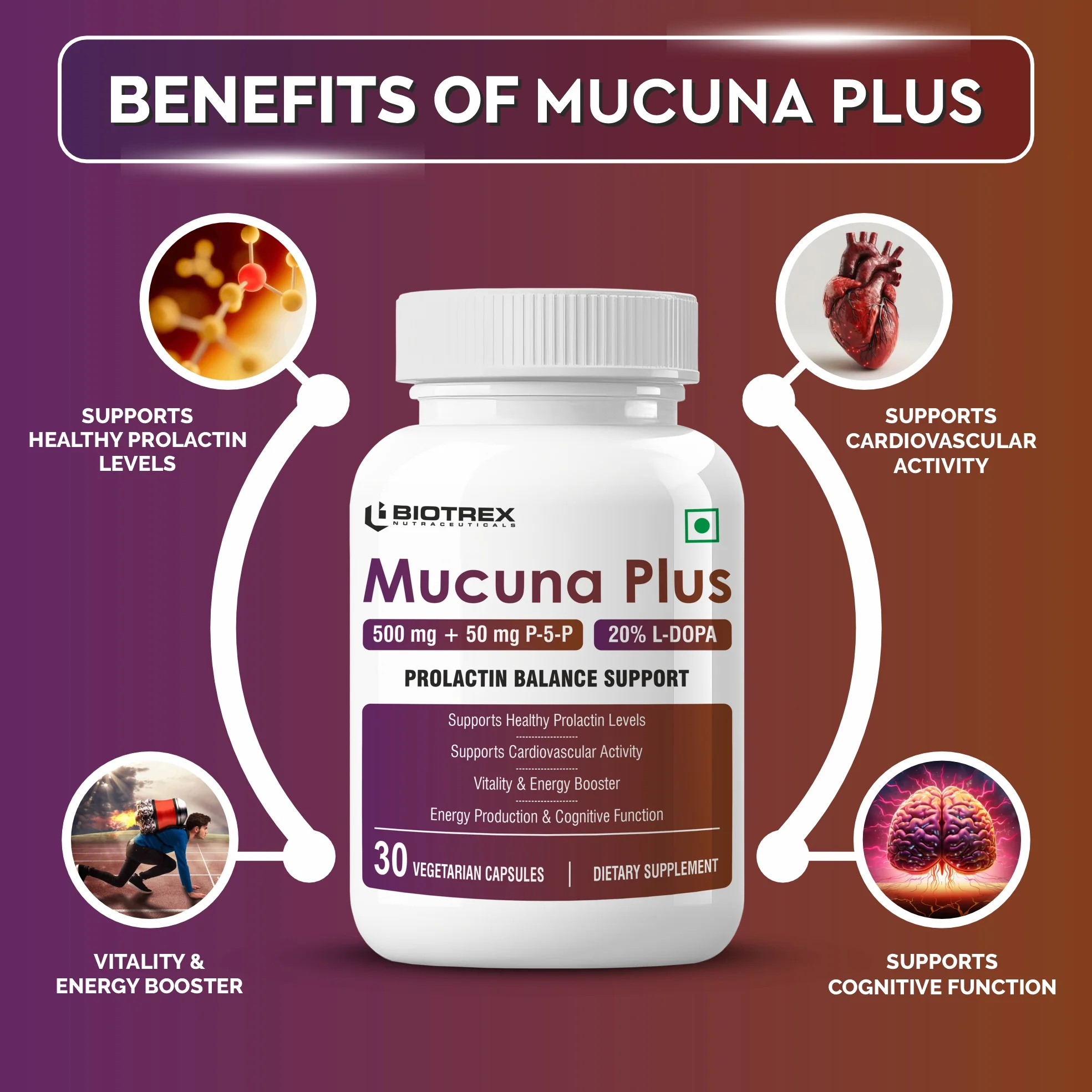 Biotrex Nutraceuticals Mucuna Pruriens (Kapikachhu) (20% L-Dopa) 500mg With P-5-P (Pyridoxal 5'-Phosphate) 50mg | Prolactin Support | Vitality & Energy Booster | Cardiovascular | Nerve Health - 30 Veg Capsules - Image 3